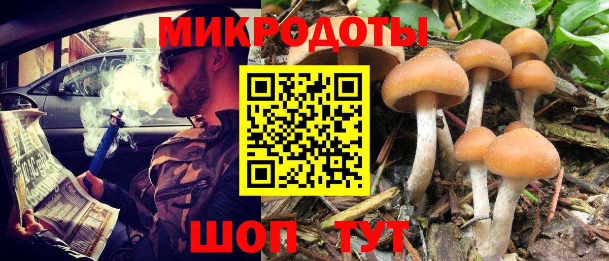 Галлюциногенные грибы MAGIC MUSHROOMS  Вход с VPN  Гай 